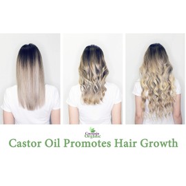 16 oz Eyebrow and Eyelash Growth Serum with Black Castor Oil