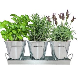Environet Herb Garden Kit - Complete Herb Growing Kit Set. Decorative Metal Vintage Plant Set. Grow Herbs from Seeds (Basil, Rosemary, Lavender)