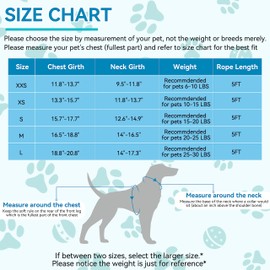 Small Dog Harness and Leash Set, No Pull Adjustable Reflective Breathable Mesh Step in Dog Harness Easy Walk Dog Harness for Extra Small/Small Medium Dog Cats Puppy Outdoor Hiking Training (Blue XXS)