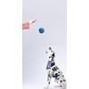 JEROCK Dog Balls, Indestructible Dog Toy Ball for Aggressive Chewers,