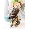 Ebros 8.75" Tall Realistic American Pride Bald Eagle Perching On