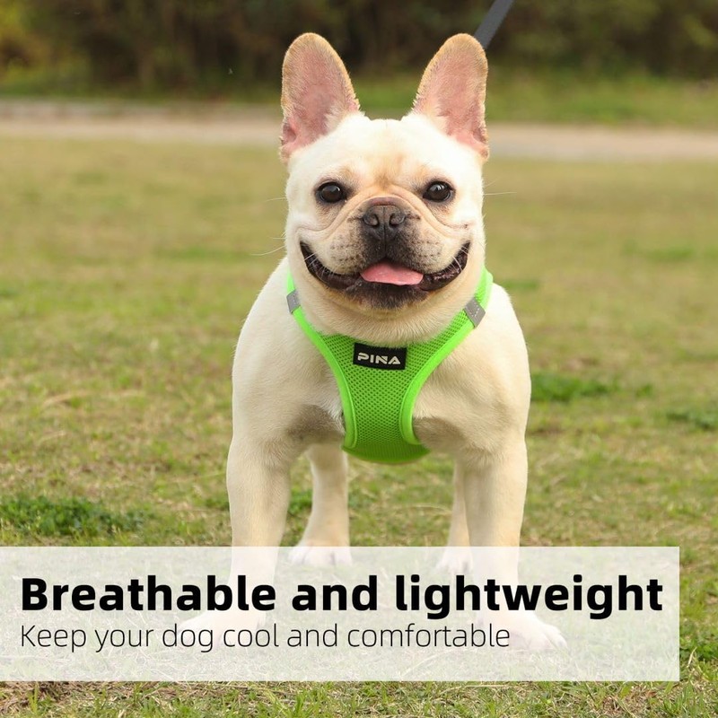 PINA Dog Harness for Small Dogs No Pull, Small Dog