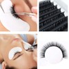 Eyelash Extensions 0.03 D Curl 12mm QUEWEL Classic Eyelash Extensions