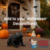 Nicky Bigs Novelties Morph Giant Rubber Black Witches Toad Halloween