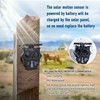 Driveway Alarm -1/2 Mile Long Range Solar Driveway Alarm System
