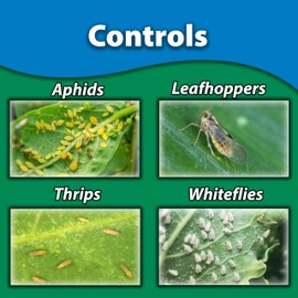 Monterey Fruit Tree Spray & Vegetable, Apply Once for Season Long Control, Imidacloprid Systemic Insecticide - 1 Quart