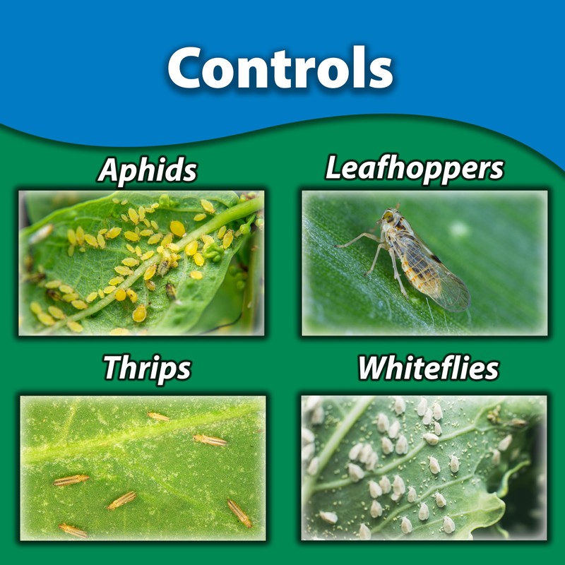 Monterey Fruit Tree Spray & Vegetable, Apply Once for Season