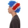 Patriotic Costa Rica Flag Afro Wigs