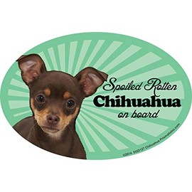 Chihuahua (Multi) Car Magnets: Spoiled Rotten Chihuahua (Multi) - Oval 6" x 4" Auto/ Truck/ Refrigerator/ Mailbox (Funny Car Decals, Dog Magnet, Chihuahua (Multi)