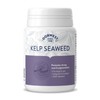 Dorwest Herbs Kelp Seaweed Tablets for Dogs and Cats 100