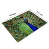 Peacocks Placemats Set of 4, I Am The Most Beautiful