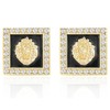 Hip Hop Square Lion Head Crystal Stud Earrings for Women