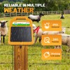 FarmNix Solar Electric Fence Kit for Livestock,10 Miles Fence Charger