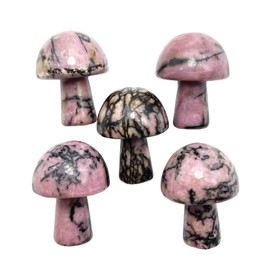 Neyisaa 5Pcs Mini Mushroom Shaped Gemstone Statue Figurine, Carved Crystal Stone Mushrooms Crafts for Healing Chakra Reiki Balancing Home Decoration, Rhodonite
