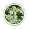 Moon Glitter Mystiker Biodegradable Eco Glitter - 100% Cosmetic Organic
