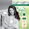 Gerovital Tratament Expert, Keratin Regenerating Shampoo, Hair care, Hair Regenerating