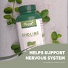 VORST Choline Bitartrate 410mg Per Serving 180 Vegan Capsules |