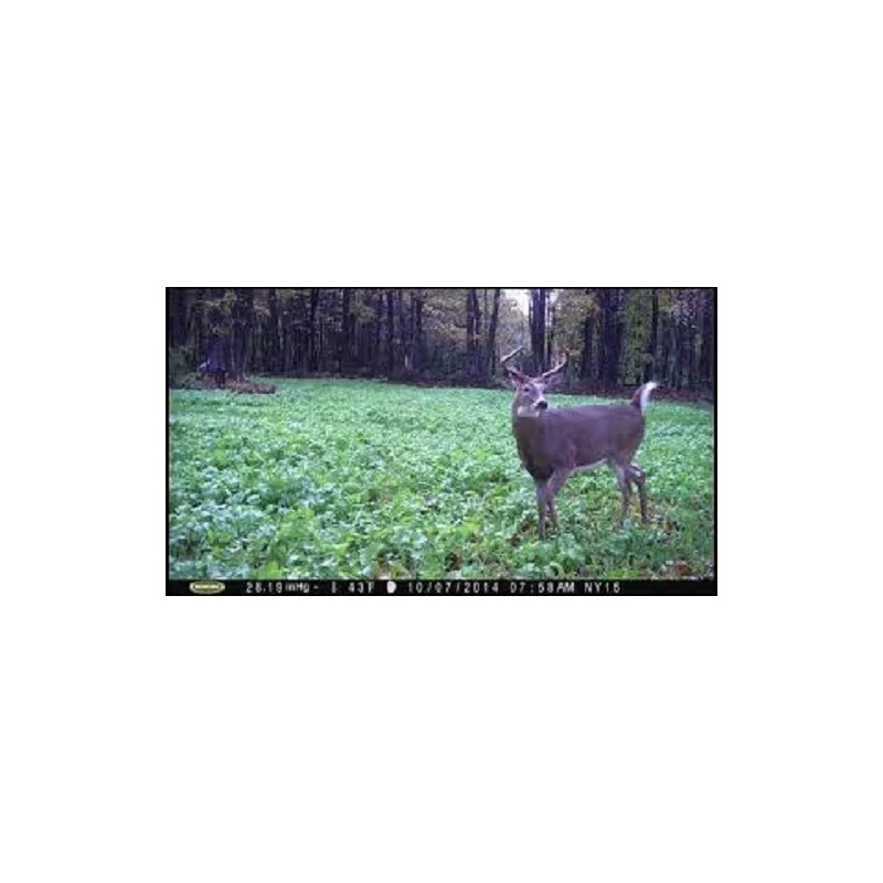 Feeders Outdoors 10 Lbs Deer Hunters FALL DEER FOOD PLOT