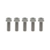 RISON-Titanium Titanium Screws M6 x 1.0 x 16 mm, Pack