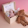 Creative Deco Wooden Storage Box Unpainted with Lid | 25