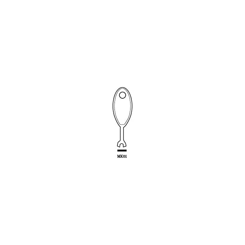 MK Light Switch Master Key