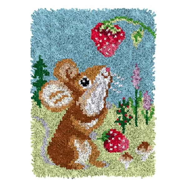 DOYLKE Latch Hook Kits for Adults DIY Crochet Yarn Rugs