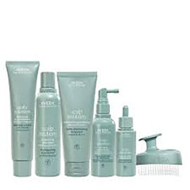 Aveda [AVEDA] 아베다 스칼프 솔루션 리프레싱 프로텍티브 미스트 100ml AVEDA Scalp Solution Refreshing Protective Mist 100ml [Scalp Solution Refreshing Protective Mist 100ml]