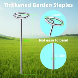 240Pcs Thick 8 Gauge 0.16 in Circle Top Landscape Fabric Pins Hard Holding,6 Inch Galvanized Landscape Fabric Stakes, for Tent, Weed Barrier Fabric, Plant Cover,Landscape Pins Stronger Not Easy Bend
