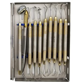 Dental Hygienists Instruments Tool kit 10 PC's with Sterilization Cassette by Wise Linkers
