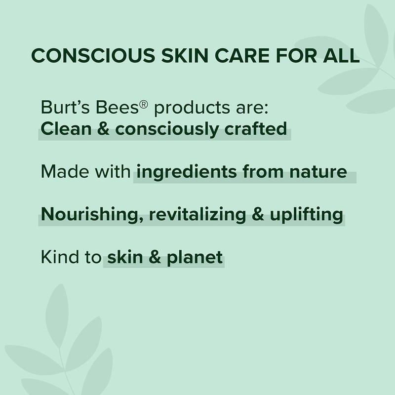 Burt's Bees 100% Natural Moisturizing Lipstick, Nile Nude, 1 Tube