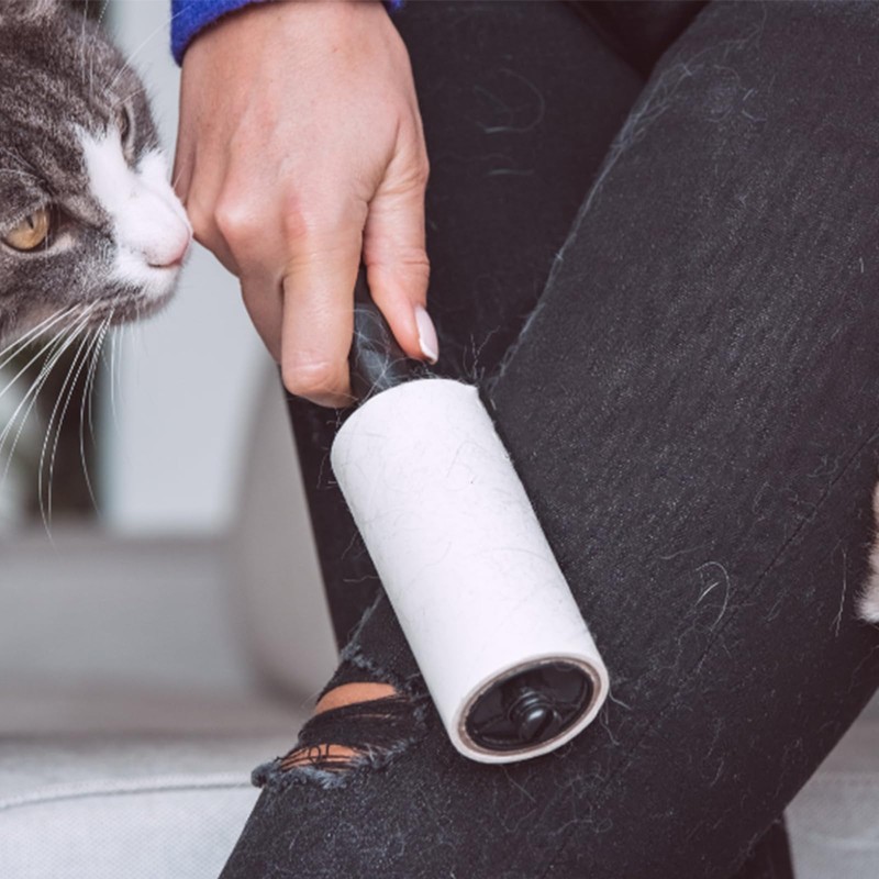 Awleynz Secret Money Safe Lint Roller, White and Grey, Hidden