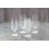 Mikasa 'Cheers' Beer Glasses/Craft Beer Glass Set with Decorative Etching,