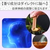 SCGEHA Nagarekawa Incense Set, Incense, Incense, Smoke Flowing Down Assortment,