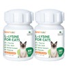 2 Bottles L-ysine Tablets for Cats - Immune Support -