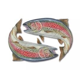 RAINBOW TROUT FISH FLY FISHING LARGE DECAL CONTOUR CUT STICKER 2 PACK