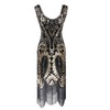 Women's Flapper Dress Sequin Cocktail 1920s Gatsby Dress w/Accessories Set