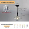 CVKASH Vintage Glass Pendant Light Fixture Black Modern Adjustable Chandelier