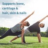 Igennus Healthcare Nutrition Igennus 100% Grass Fed Bovine Collagen, Advanced