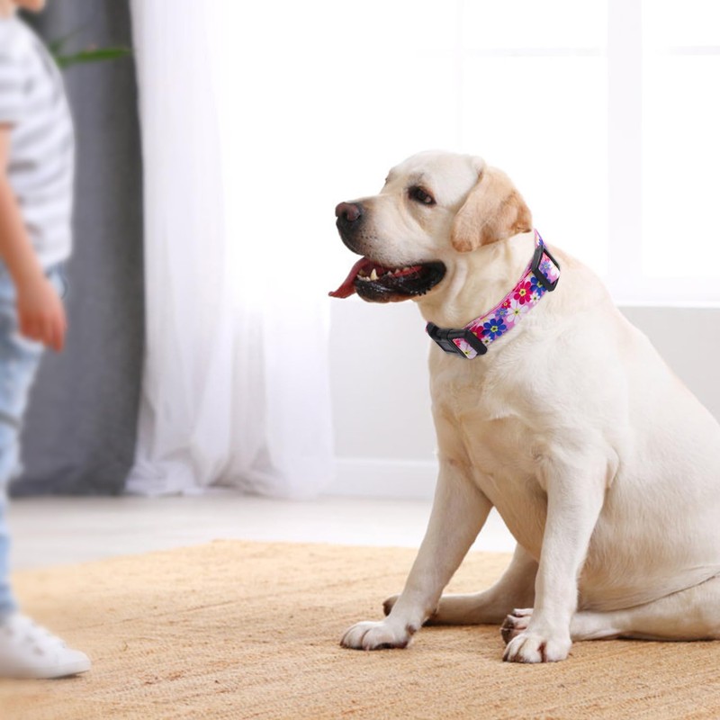 Rhea Rose Dog Martingale Collar with Quick Release Buckle, Adjustable