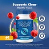 (3 Pack) Ocular Focus Capsules – Daily Eye Support Formula