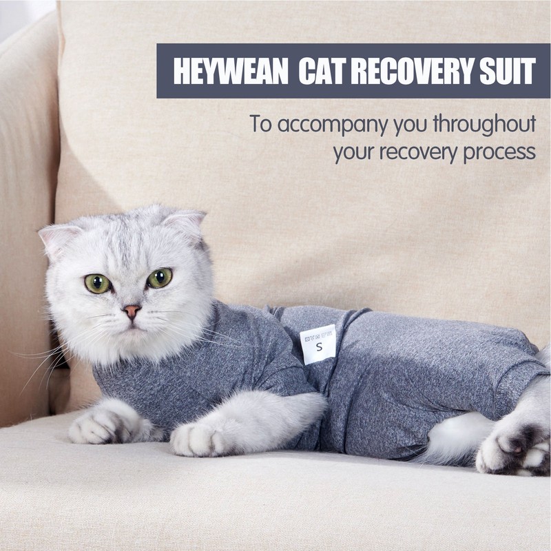 Cat Recovery Suit 4 Legged Prevents Hair Loss Highly Elastic