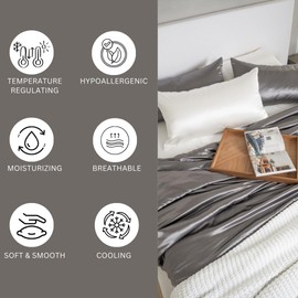 DELITE | Premium 100% Mulberry Silk Pillowcase Set of 2 | 22 Momme | Hidden Zipper | Queen (Pearl)