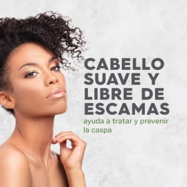 Shampoo Anticaspa 414ml Avalon Organics