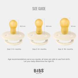 BIBS Colour Smoother Pack of 2, BPA-Free, Cherry Shape Nipple Natural Rubber/Latex, Made in Denmark. 6–18 Months (Pack of 2), Dusty Blue/Steel Blue