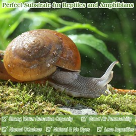 Halatool 3.5OZ Natural Sphagnum Moss for Reptiles Premium Reptile Moss Ideal Terrarium Moss for Box Turtles Hermit Crabs Leopard Gecko Snakes and Hamsters Enclosure