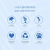 Serum Ácido Hialurónico Teia Cosméticos Naturales Momento de aplicación Día/Noche