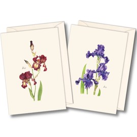 Earth Sky + Water - Iris Assortment Notecard Set - 8 Blank Cards with Envelopes (4 each of 2 styles)