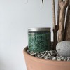 Tala Bath Salt - Christox Marine Aromatic Herb, 750g, 1