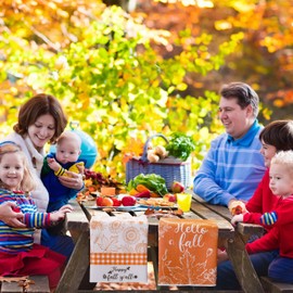 Bencailor 12 Pcs Holiday Kitchen Towels Spring Dish Towels Summer 4th of July Independence Day Hand Towels Set Fall Winter Holiday Tea Towels (Classic Color,Gnome)