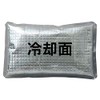 AITOZ AZ865933 101 Silver F Ice Packs, Set of 4,